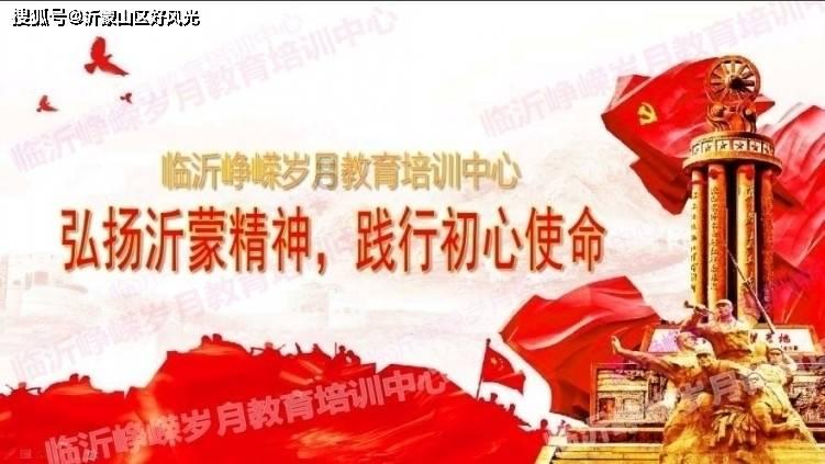 可爱小猫向上跳